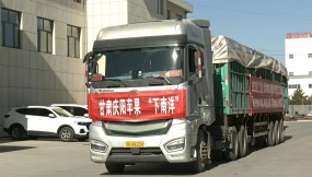  甘肅國際物流集團助力慶陽蘋果出口東南亞